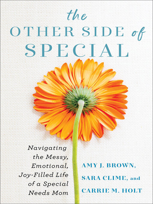 Title details for The Other Side of Special by Amy J Brown - Wait list